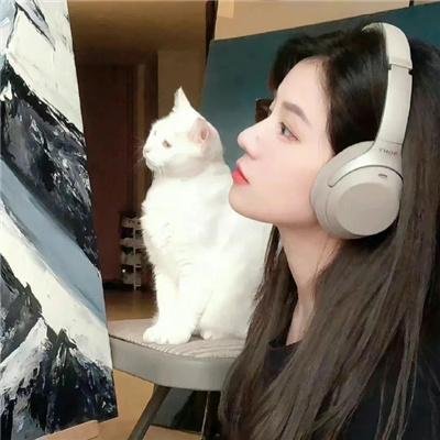 心星的泪光