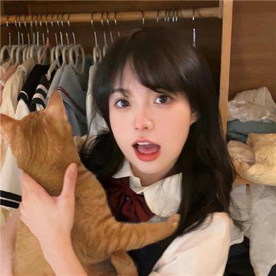 虎鹤双形